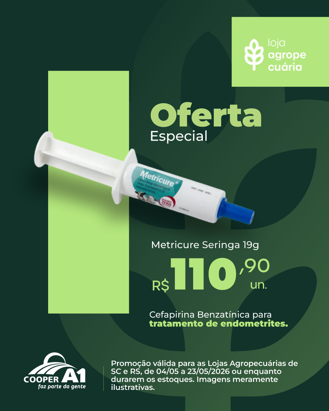 Oferta Especial