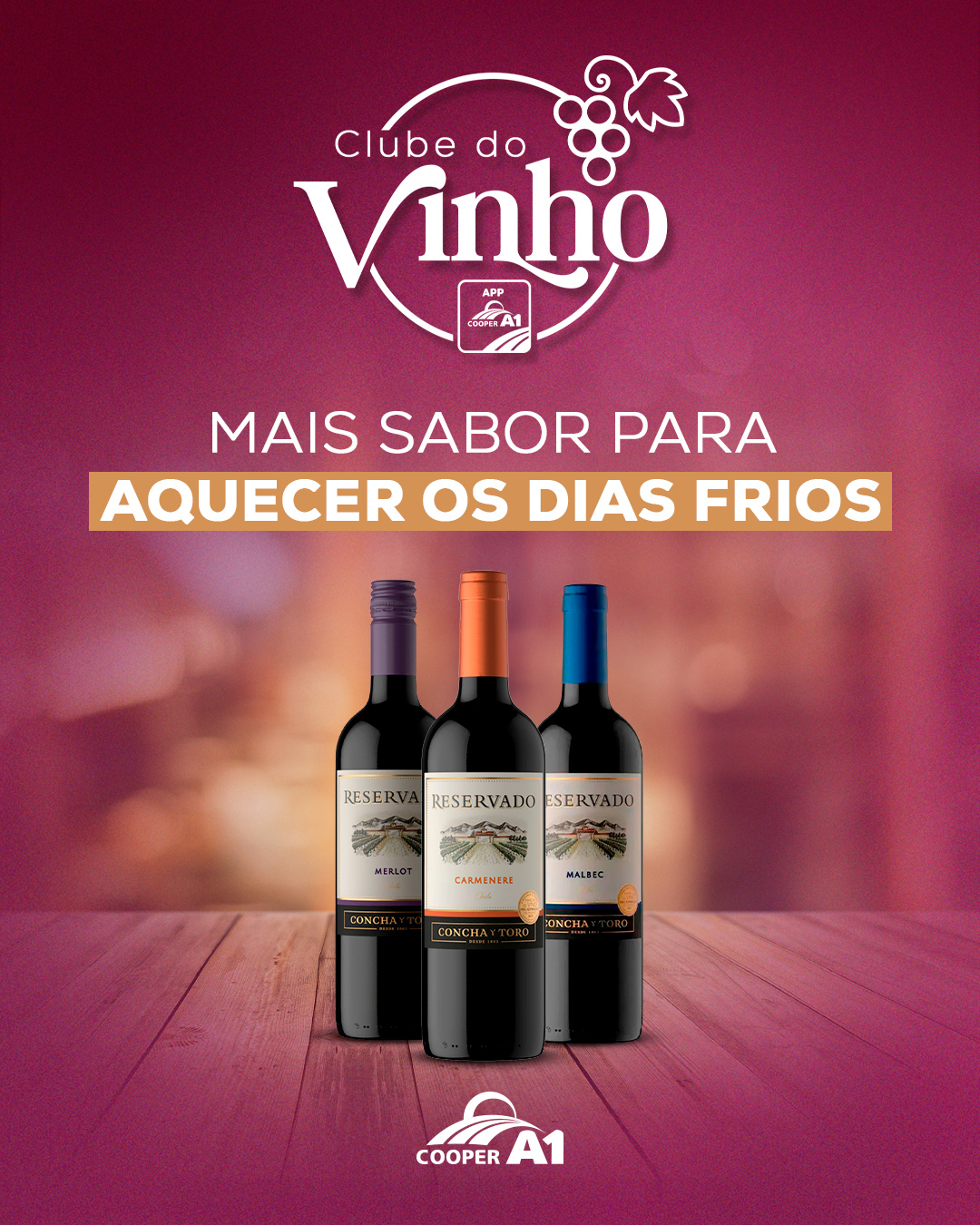 Ofertas Exclusivas Clube do Vinho
