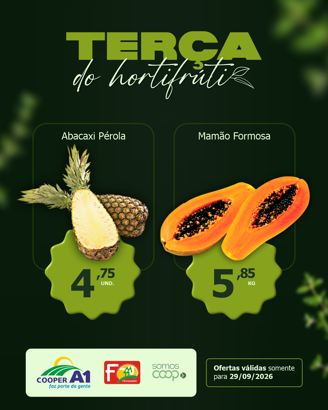 Ter&ccedil;a do Hortifr&uacute;ti