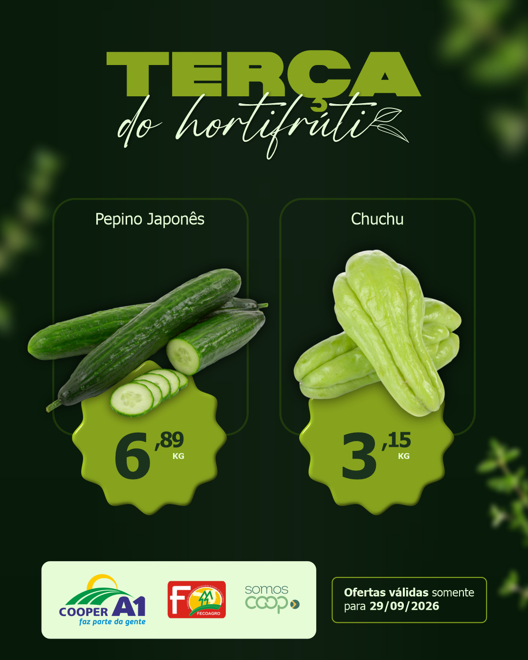 Ter&ccedil;a do Hortifr&uacute;ti