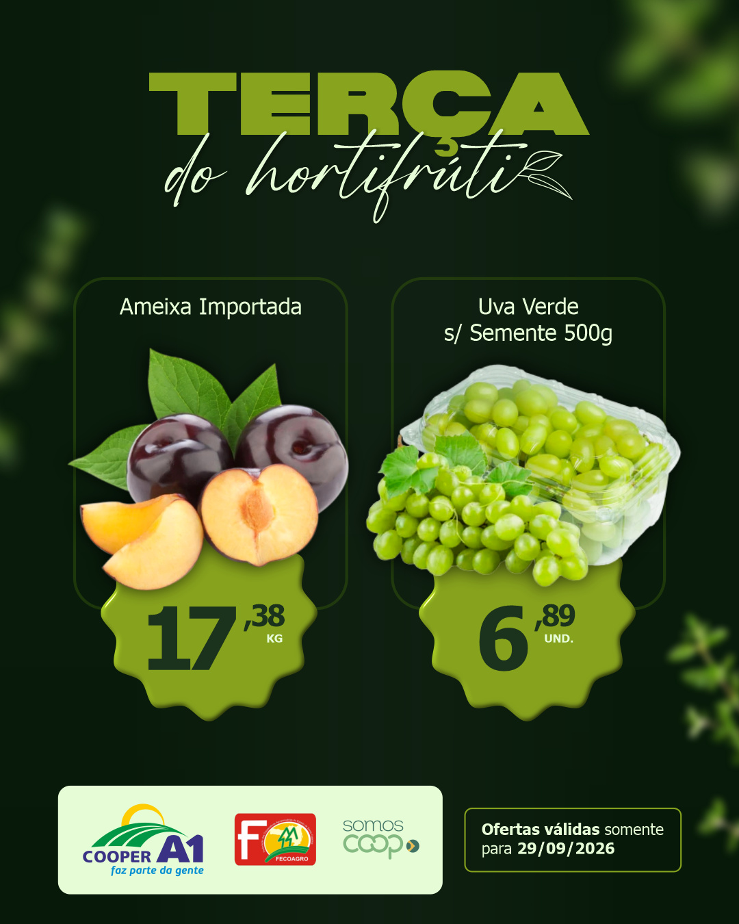 Ter&ccedil;a do Hortifr&uacute;ti