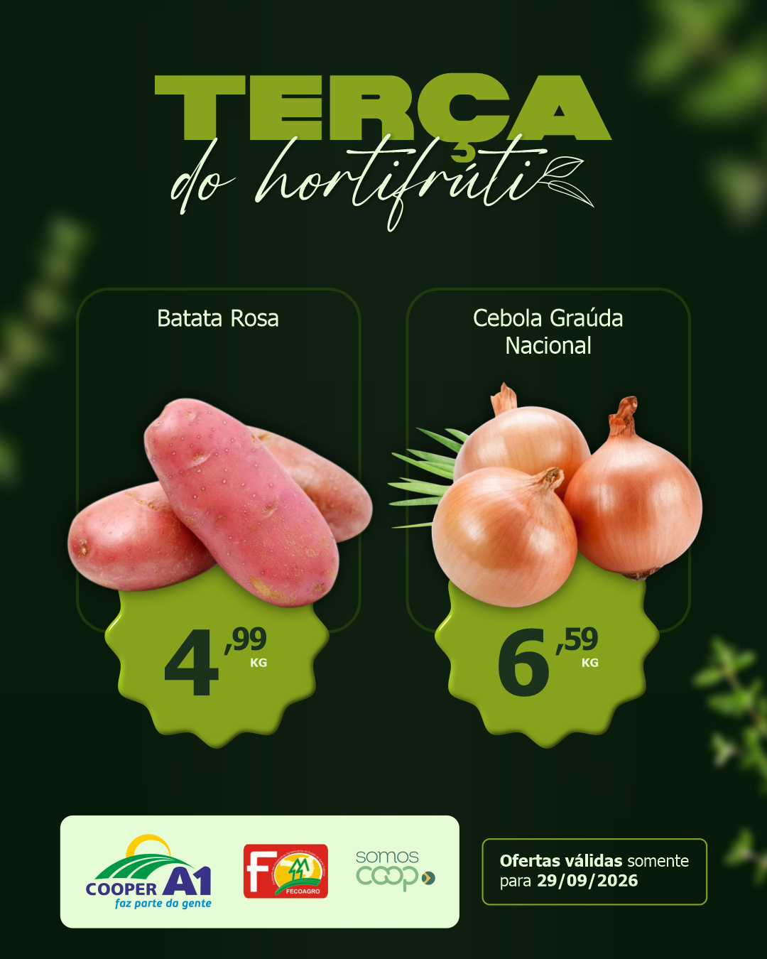 Ter&ccedil;a do Hortifr&uacute;ti
