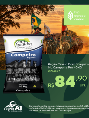 Ra&ccedil;&atilde;o Cavalo Dom Joaquim 