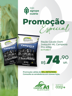 Promoção Especial