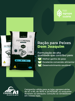 Ra&ccedil;&atilde;o Peixes