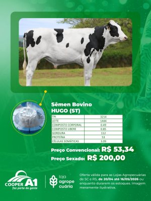 Invista em gen&eacute;tica