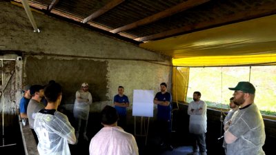 PARAN&Aacute;: Cooper A1 realiza primeiro dia de campo com cooperados em Marmeleiro