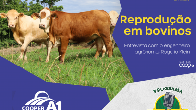 INFORMATIVO A1 29.11.25: Reprodução em bovinos