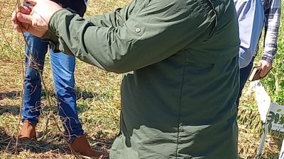 Esses produtos t&ecirc;m sido trabalhados em parceria com a Cooper A1 ao longo de seis anos