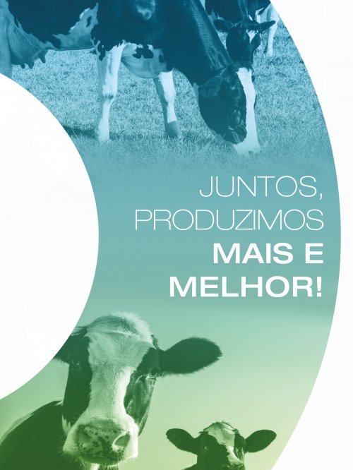 Revista Digital - página 2