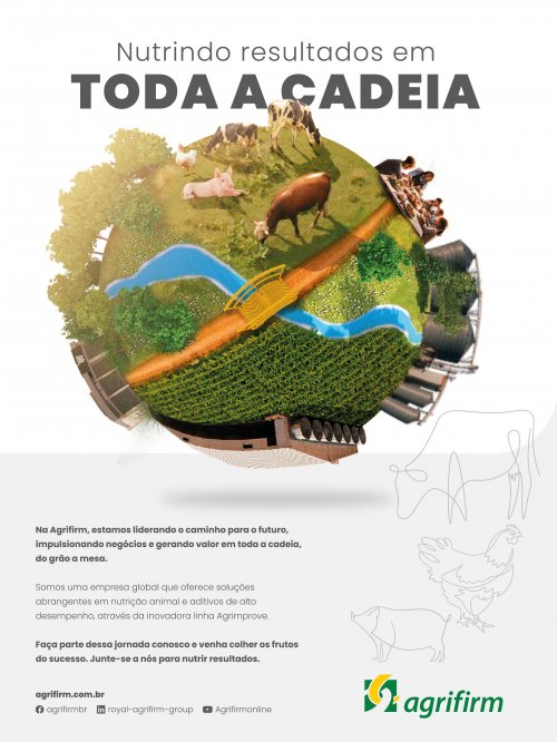 Revista Digital - página 11