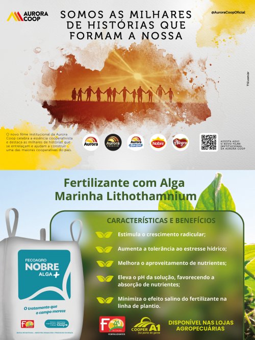 Revista Digital - página 13