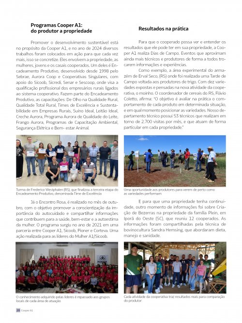 Revista Digital - página 19