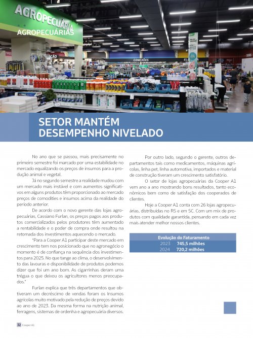 Revista Digital - página 31