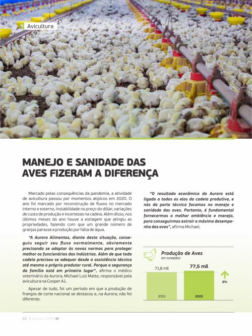 Revista Digital - página 31