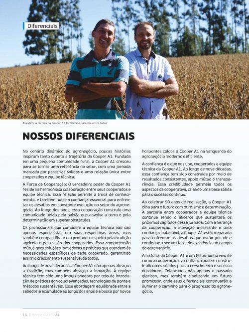 Revista Digital - página 17