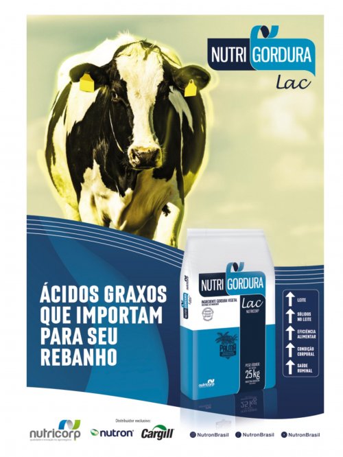 Revista Digital - página 33