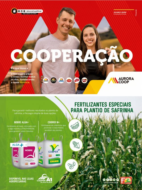 Revista Digital - página 11