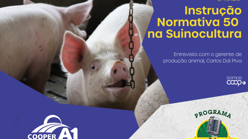 INFORMATIVO A1 24.01.26: IN 50