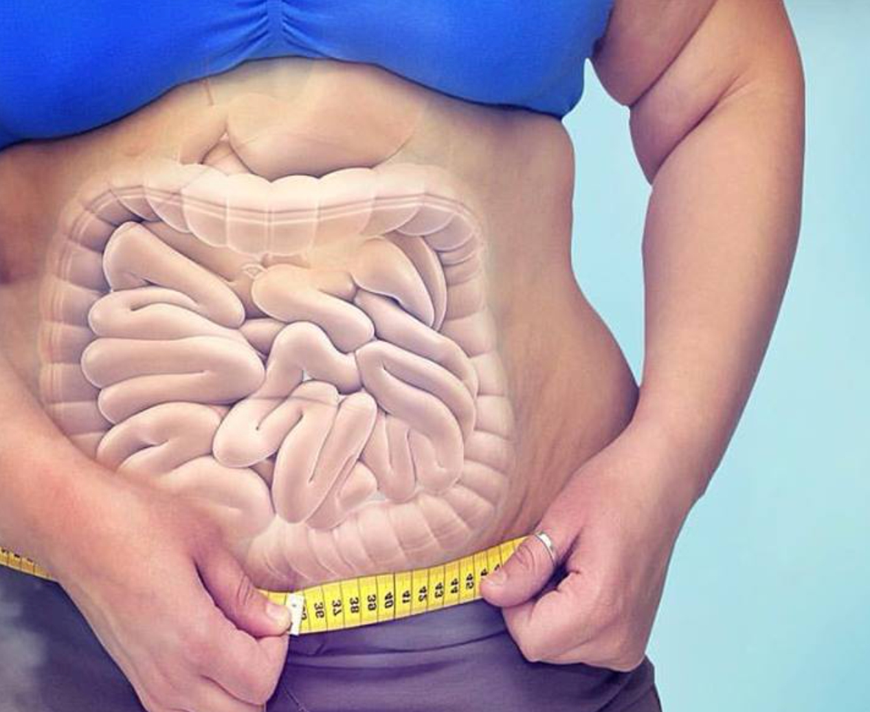 PAPO DE NUTRI: Intestino versus obesidade! Você já pensou sobre isso?