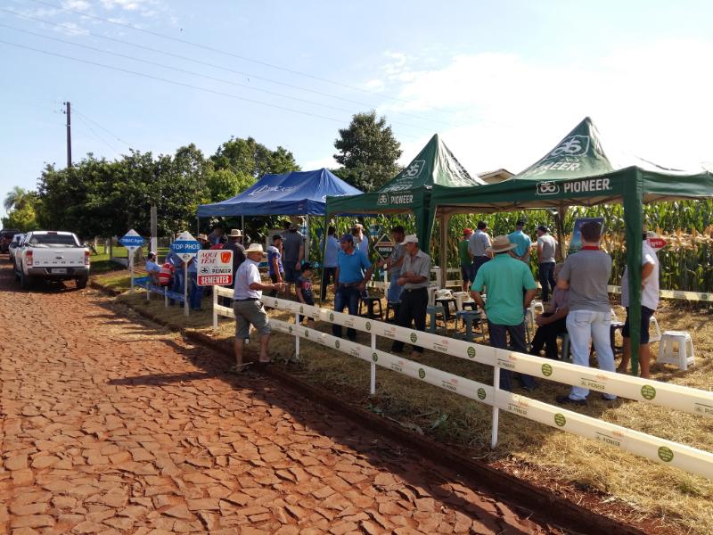 CONHECIMENTO NA PRÁTICA: OBJETIVO DOS DIAS DE CAMPO REALIZADOS PELA COOPER A1