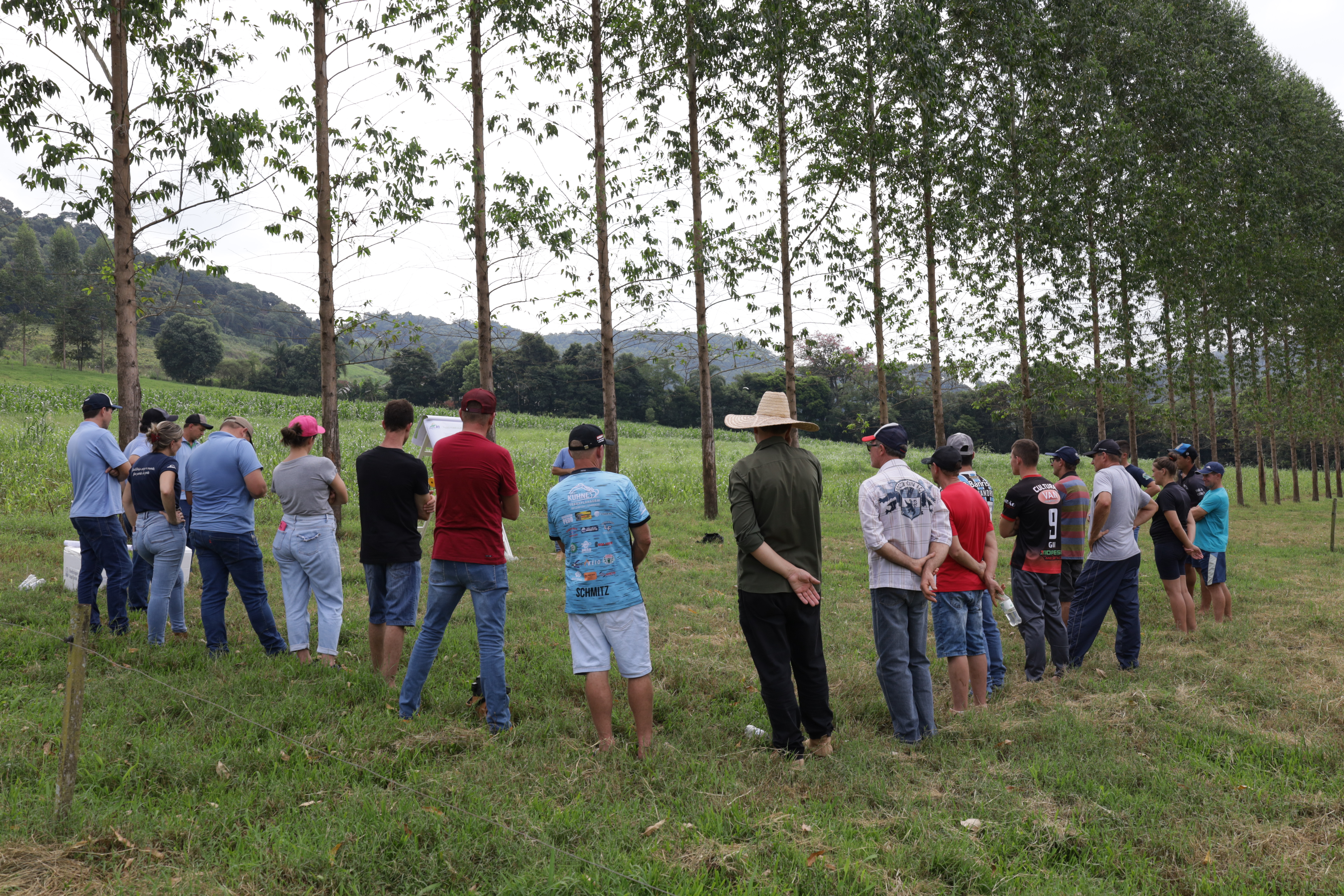 CONHECIMENTO: Tarde de Campo em Palmitos