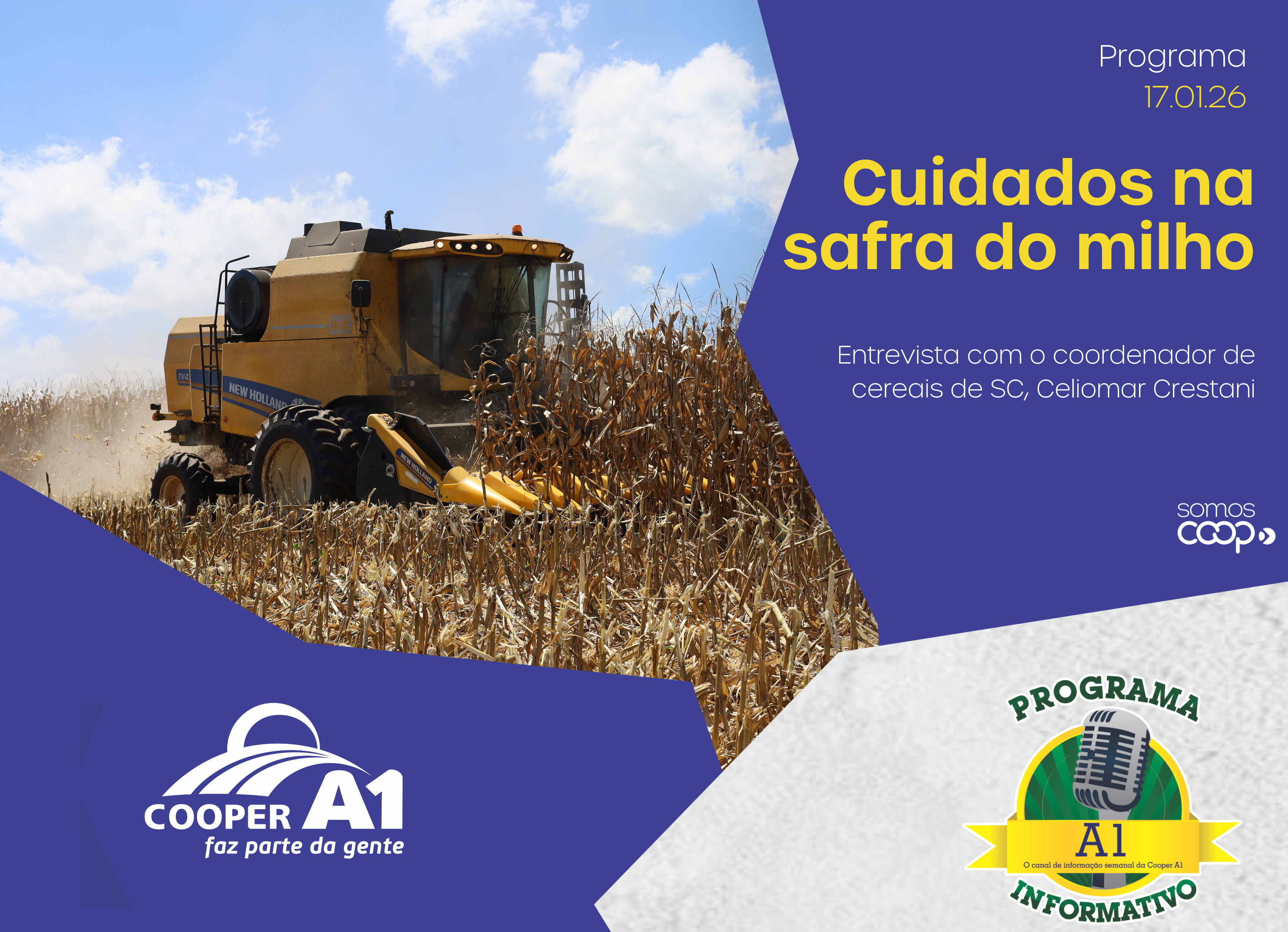 INFORMATIVO A1 17.01.26: Cuidados na safra do milho 