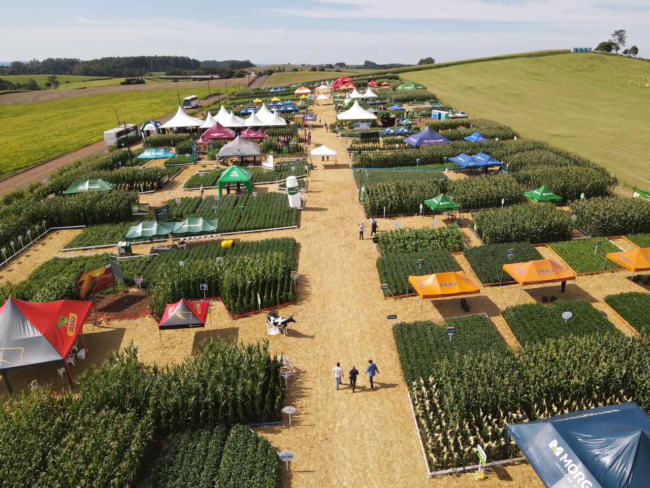 ATUALIDADES DO MERCADO: Preparação da 3ª edição do Campo Tecnológico  